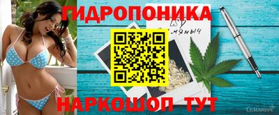 Альфа ПВП Донецк