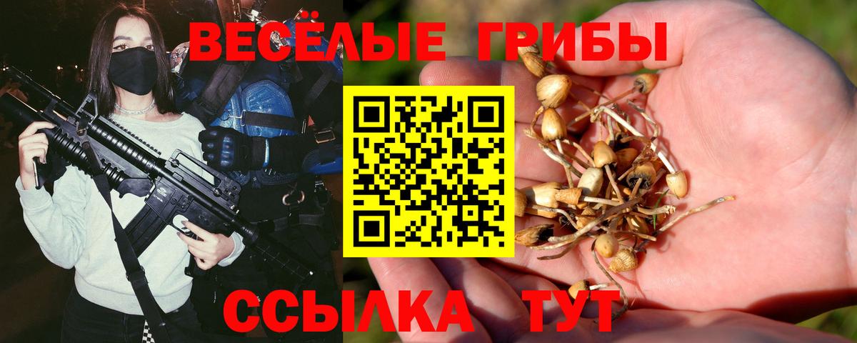 Михайловка  Галлюциногенные грибы Psilocybe  где купить наркоту  Вход с VPN 